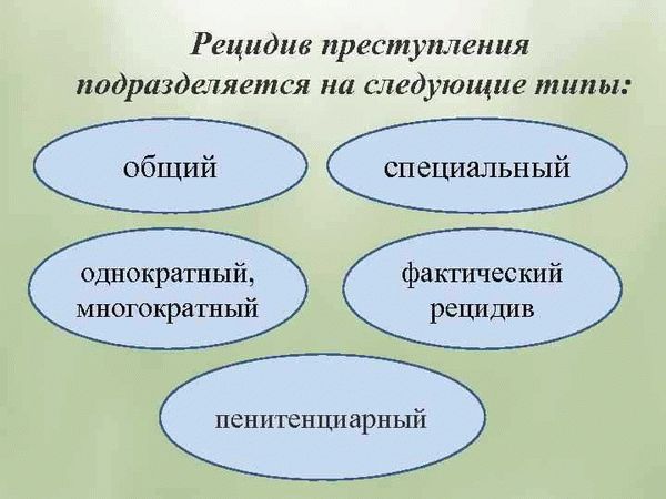 Криминологическая характеристика профессиональной и рецидивной преступности