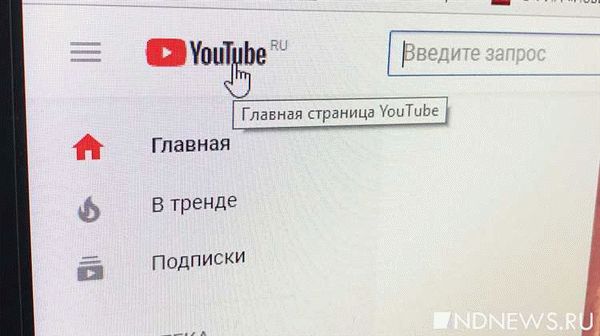 Альтернативы для пользователей после блокировки YouTube