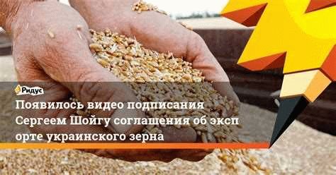 Песков объявил о приостановке зерновой сделки до выполнения условий РФ