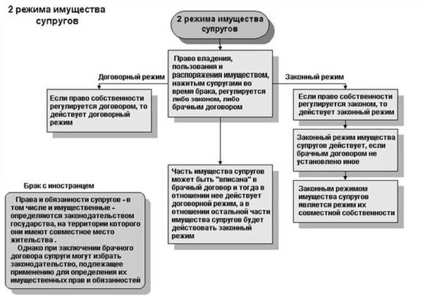 Что может быть предметом контракта?