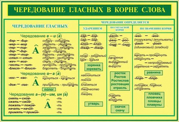 Выставление верной буквы при спряжении