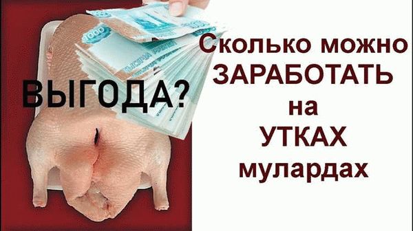 Через сколько можно подать на УДО