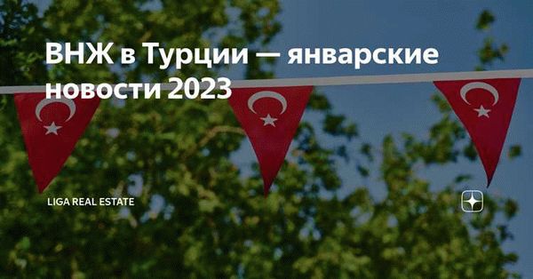 Категории Видов Неопределенного Жительства (kimlik) в Турции