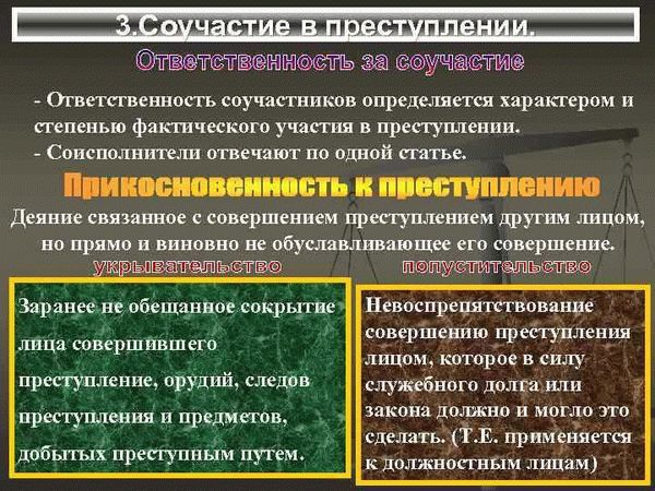 Защита прав и законные интересы обвиняемых по статье о пособничестве терроризму