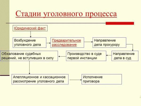 Роль суда и принципы независимости и презумпции невиновности