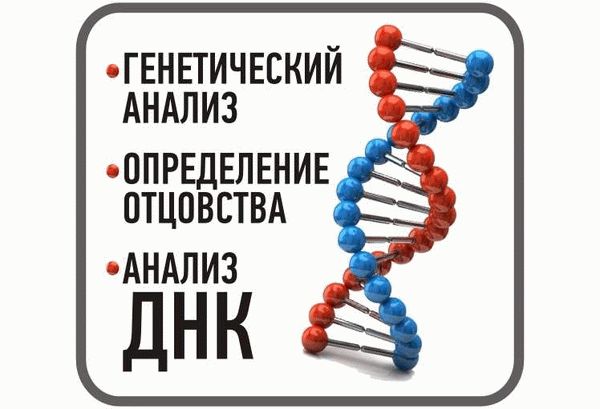 ДНК-тест на отцовство не разрушает семьи