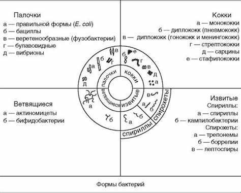 Формы хищения: особенности и примеры