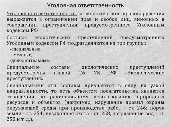 Уголовная ответственность за получение взятки должностным лицом