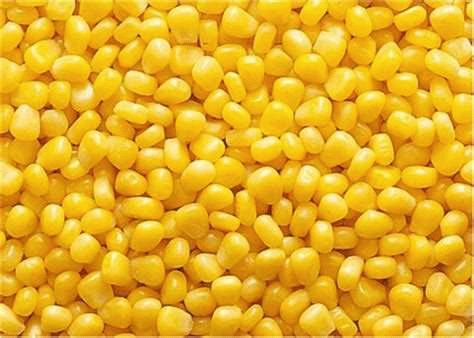 Выбор сырья для успешного бизнеса — кукуруза
