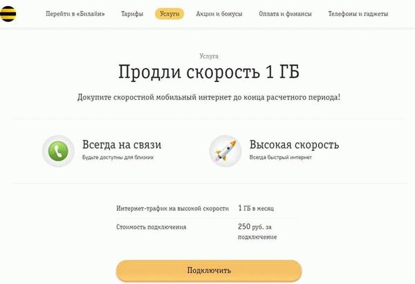 Как получить дополнительный трафик мобильного интернета “билайн”: суть опции и ее описание