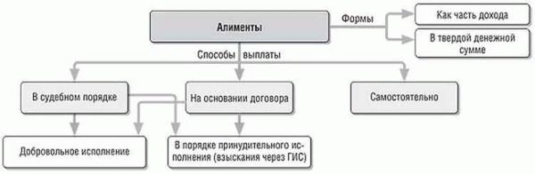 Установление отцовства через суд