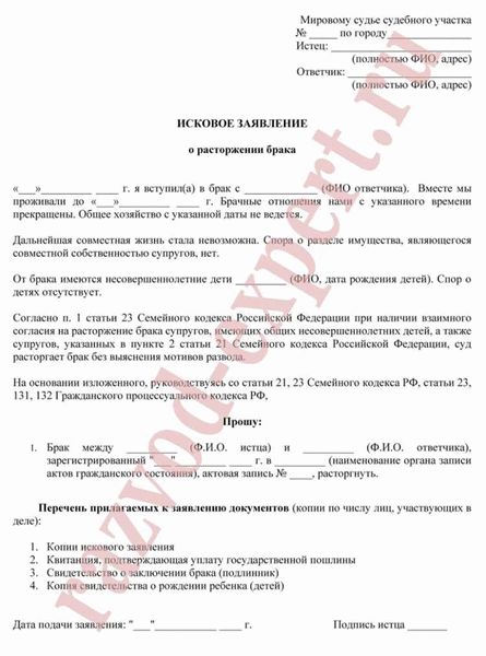 Как подать на развод в Томске: порядок в 2025, с детьми, через суд, все о документах и заявлении