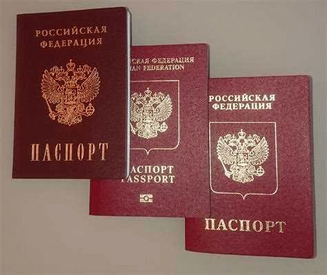 Основания для получения гражданства РФ