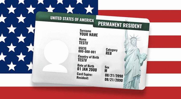 Натурализация в США с грин-картой: требования к заявителям