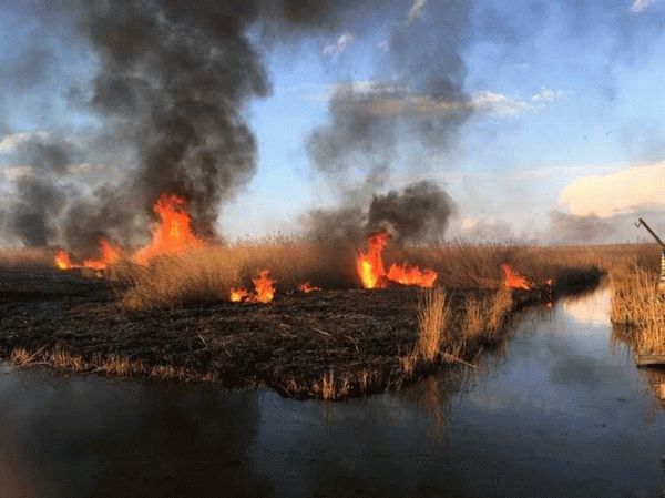 Правила безопасности