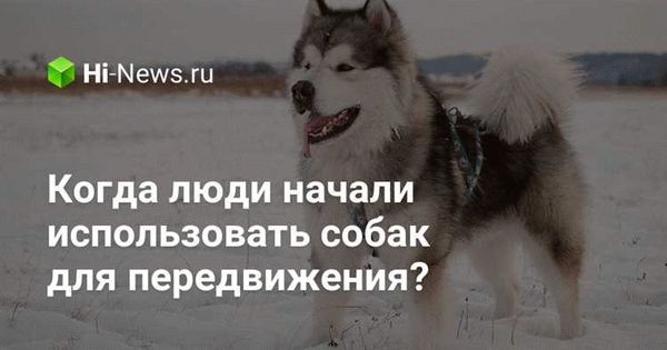 Нота Киргизского посольства: жестокость по отношению к таксисту вызывает ожествленную реакцию