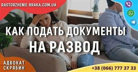 Процедура подачи на алименты: шаг за шагом