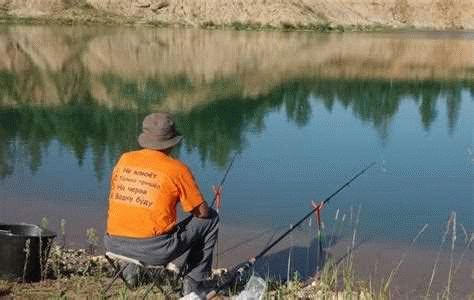 Какие виды водных биоресурсов запрещено вылавливать