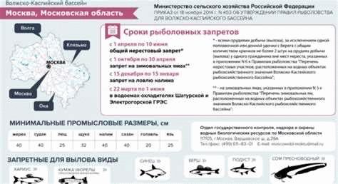 Новые правила рыболовства в Московской области в 2024 году