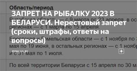 Сезон рыбалки в Подмосковье: основные сезоны рыбалки