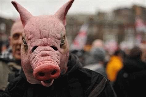 Почему мусульмане не едят свинину: главные причины