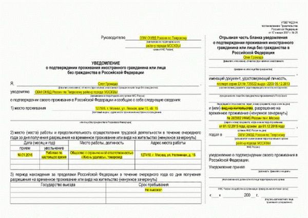 Как подать уведомление о подтверждении проживания в РФ и избежать штрафа