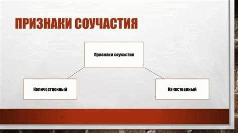 Правовой статус соучастника