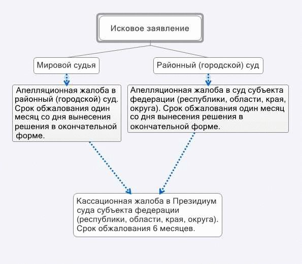 История апелляционных решений