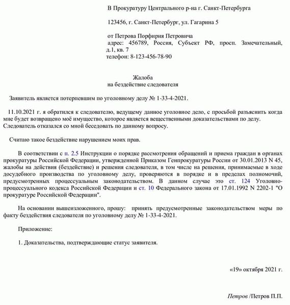 Бланк приговора суда по уголовному делу 2024 года