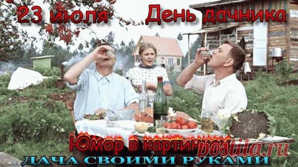 Преступления и наказания в сфере нелегальной рыбной продукции в России