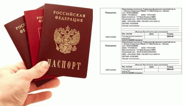 Сроки и ограничения при восстановлении паспорта за границей: