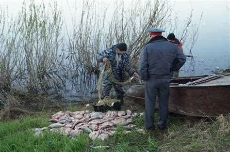 Штрафы за браконьерство в 2025 году: