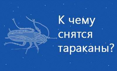 Влияние сновидений о рейде в магазин на подсознание