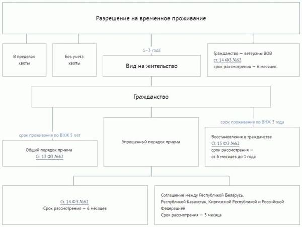 Сроки рассмотрения документов