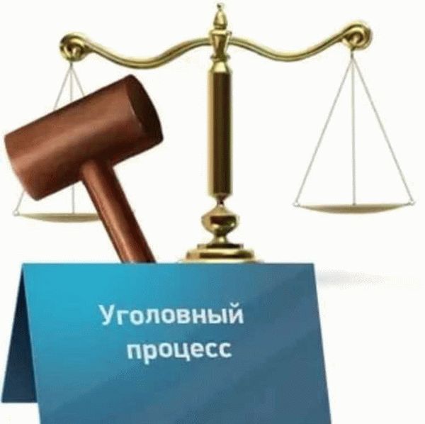 Статья 31 УПК РФ