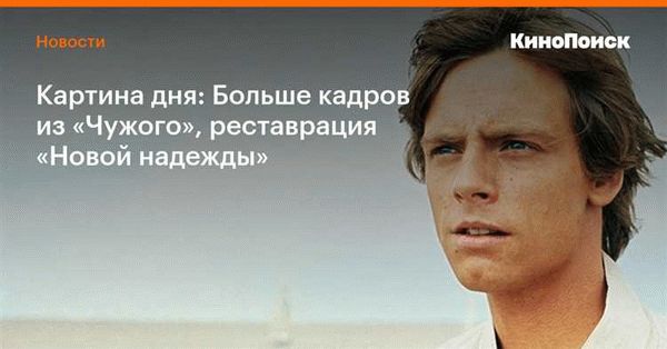 Проникновение на чужую территорию: что надо знать