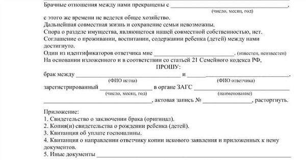 Бракоразводный процесс через суд