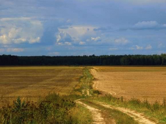 Скрытые коммуникации: мошенничество при продаже и незаконная сдача в аренду