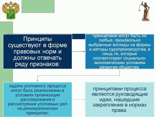 Основные принципы и процедуры