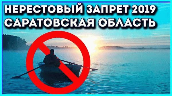 Нерестовый запрет на рыбалку ввели в России в году: