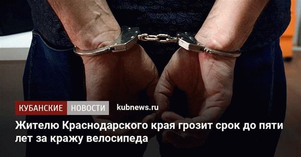 Успела предотвратить кражу