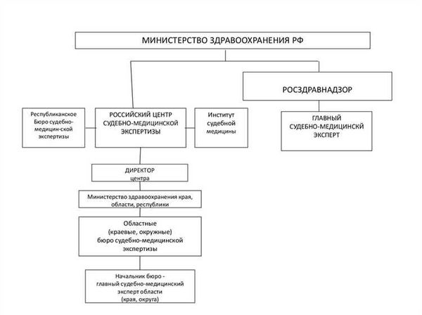 Проведение судебно-медицинской экспертизы