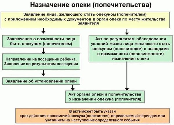 Как оформить временную опеку?