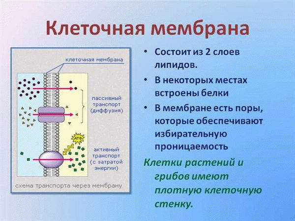 Запирающий слой: защита данных и его принцип работы